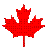 3D maple leaf